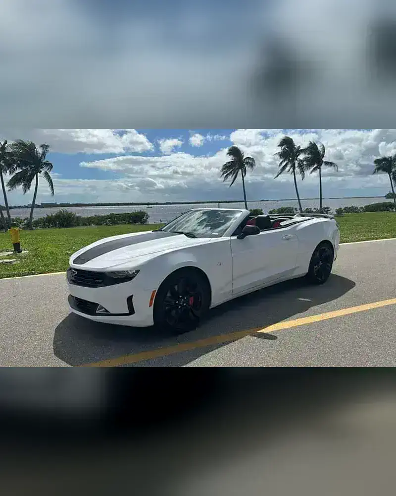 A 2023 Chevrolet Camaro convertible with the top down, parked on a palm-lined coastal road